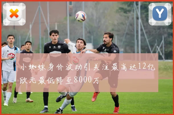 小蜘蛛身价波动引关注最高达12亿欧元最低降至8000万